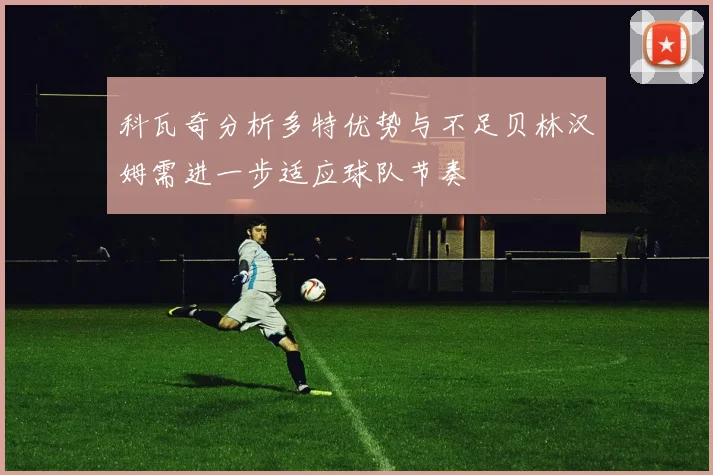 科瓦奇分析多特优势与不足贝林汉姆需进一步适应球队节奏